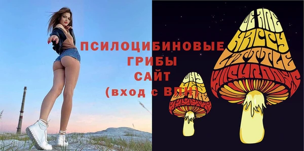 марки nbome Баксан